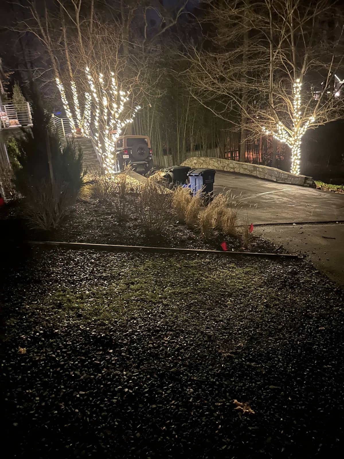 Christmas light installation in Capitol Hill, Washington, DC by Light DMV — professional holiday lighting service