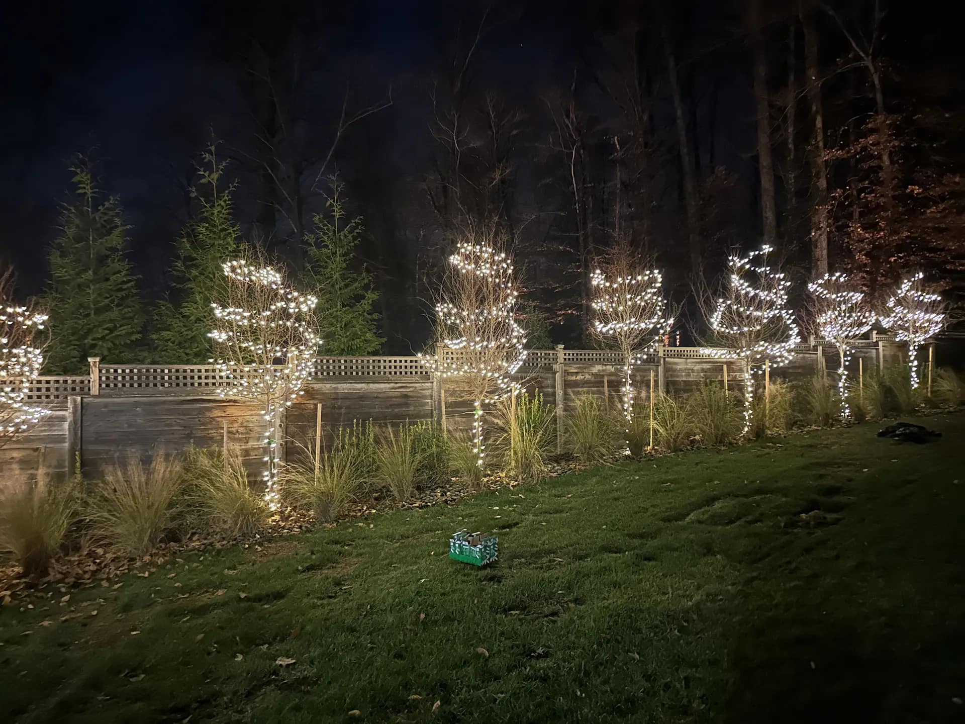Christmas light installation in Capitol Hill, Washington, DC by Light DMV — professional holiday lighting service