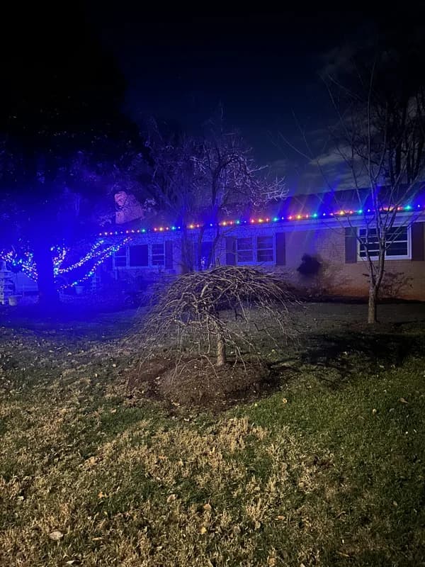 Christmas light installation in Arlington, Virginia by Light DMV — professional holiday lighting service