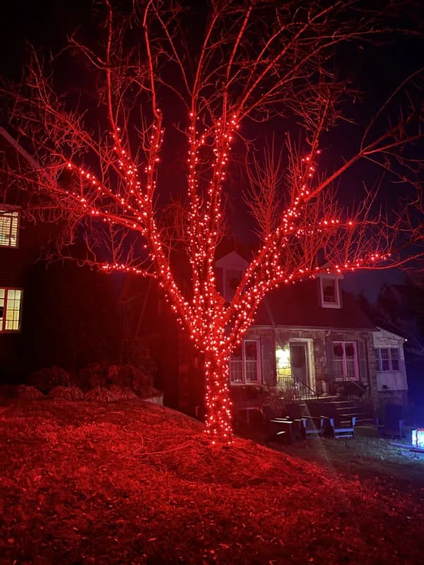 Christmas light installation in Arlington, Virginia by Light DMV — professional holiday lighting service