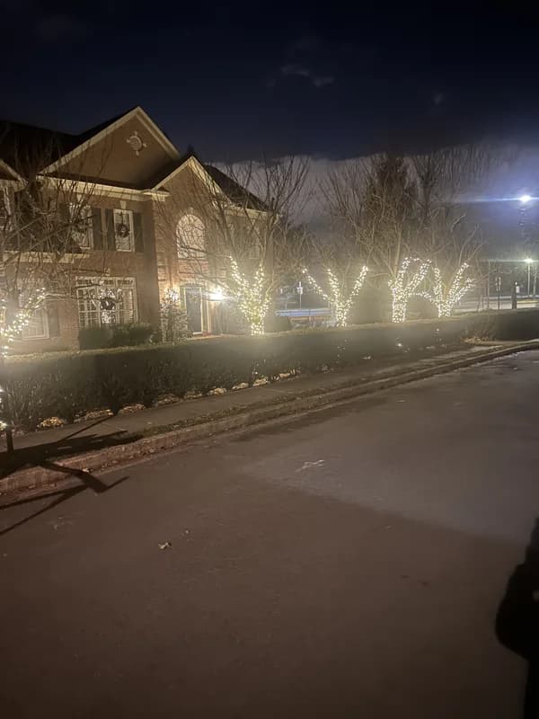 Christmas light installation in Arlington, Virginia by Light DMV — professional holiday lighting service