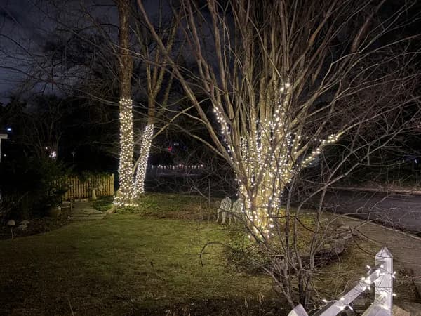 Christmas light installation in Arlington, Virginia by Light DMV — professional holiday lighting service