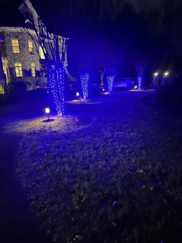 Christmas light installation in Bethesda, Maryland by Light DMV — professional holiday lighting service