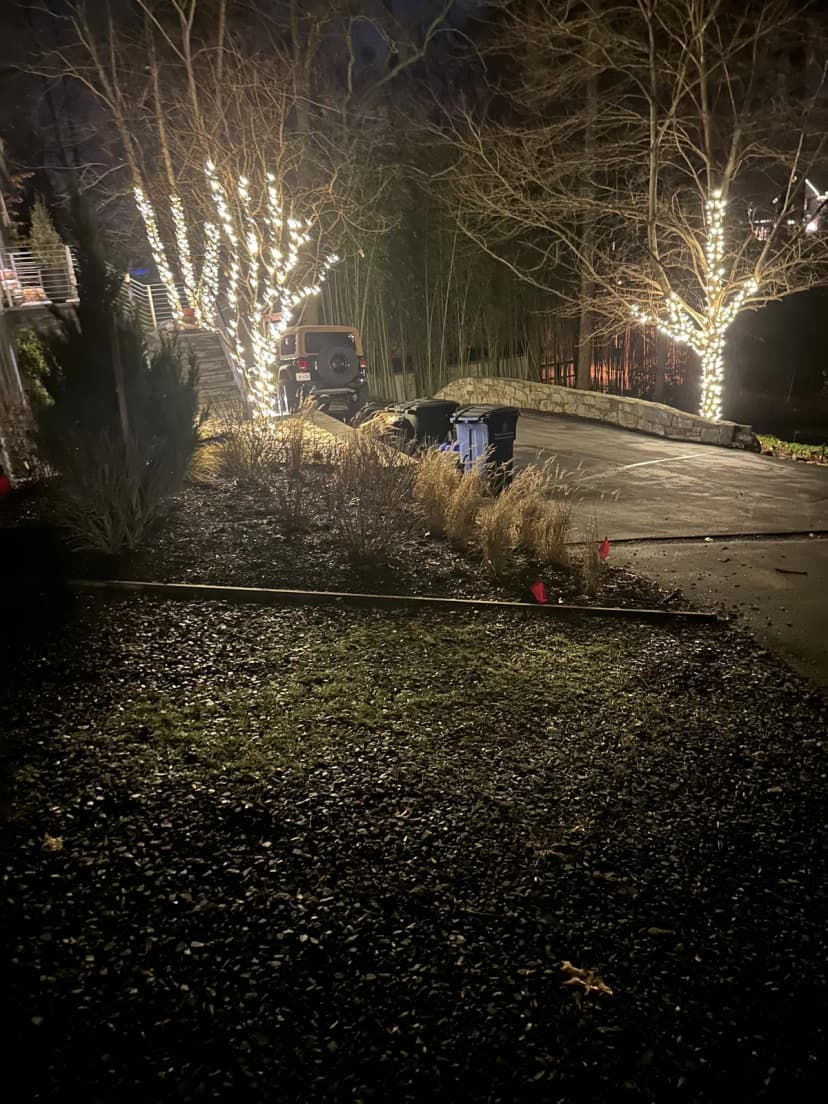 Christmas light installation in Capitol Hill, Washington, DC by Light DMV — professional holiday lighting service