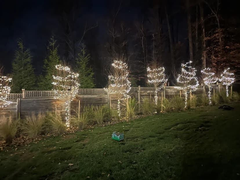 Christmas light installation in Capitol Hill, Washington, DC by Light DMV — professional holiday lighting service