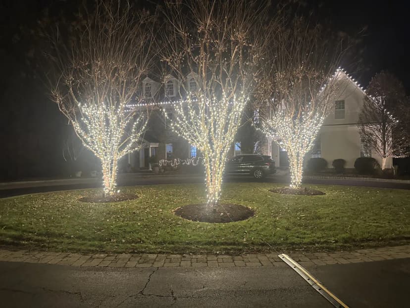 Christmas light installation in Capitol Hill, Washington, DC by Light DMV — professional holiday lighting service
