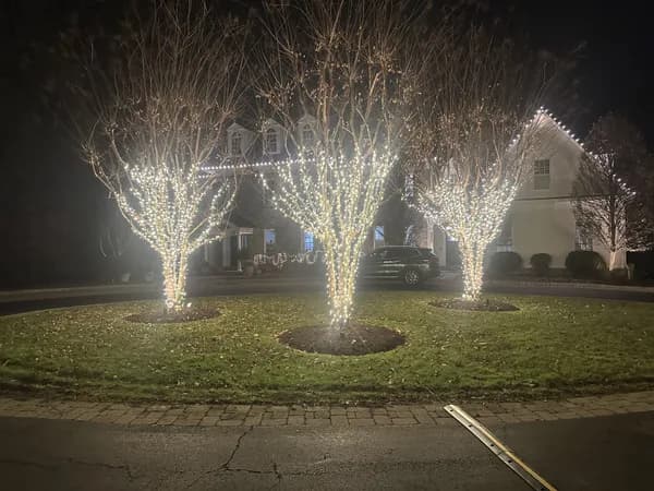 Christmas light installation in Capitol Hill, Washington, DC by Light DMV — professional holiday lighting service