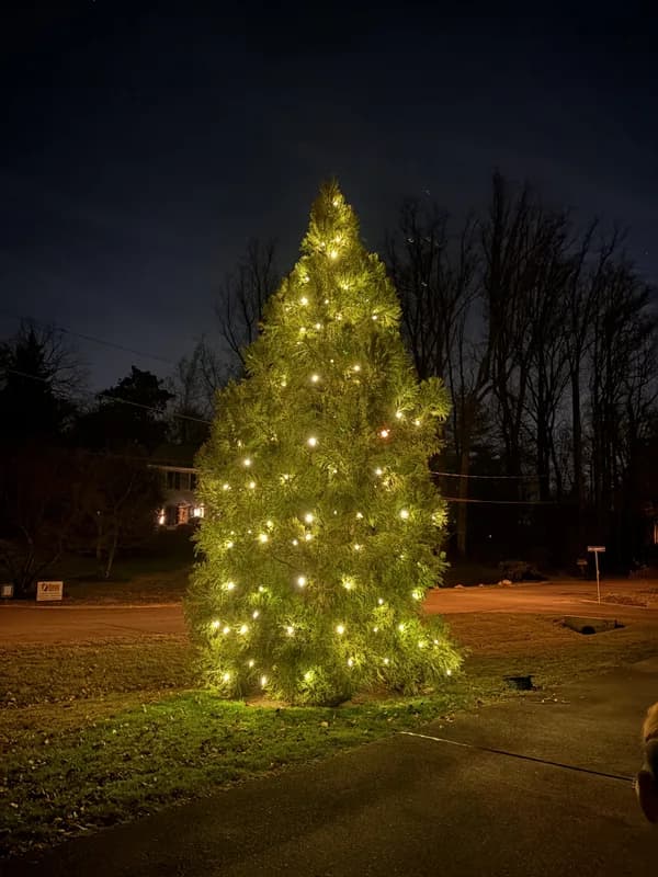 Christmas light installation in Foxhall, Washington, DC by Light DMV — professional holiday lighting service