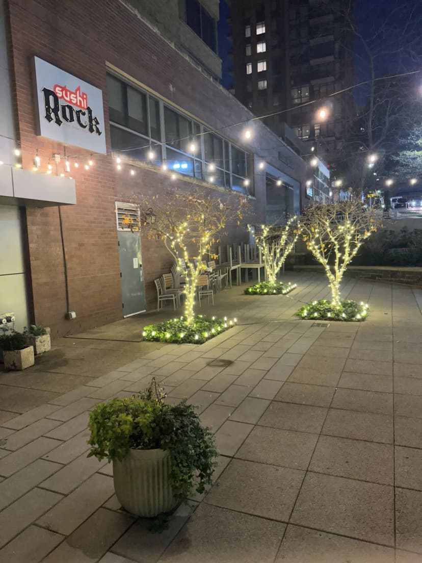 Christmas light installation in Germantown, Maryland by Light DMV — professional holiday lighting service