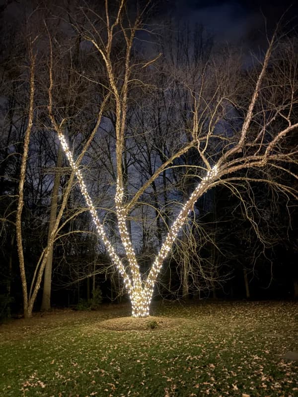 Christmas light installation in Great Falls, Virginia by Light DMV — professional holiday lighting service