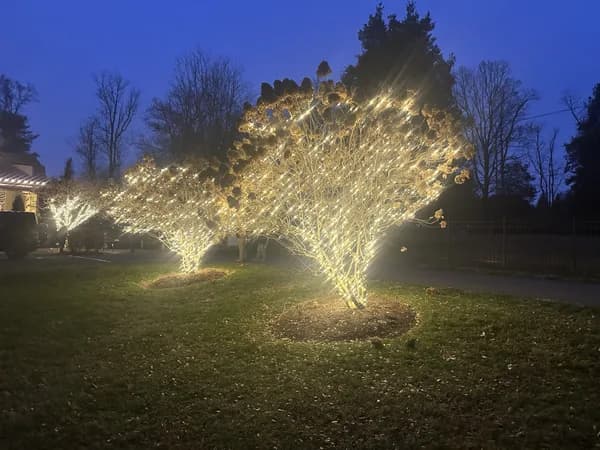 Christmas light installation in Kensington, Maryland by Light DMV — professional holiday lighting service