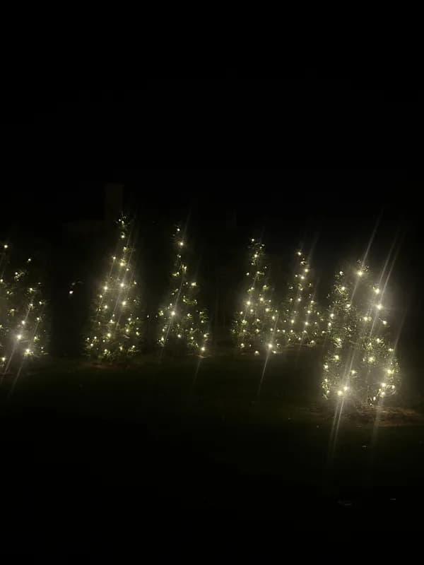 Christmas light installation in North Potomac, Maryland by Light DMV — professional holiday lighting service