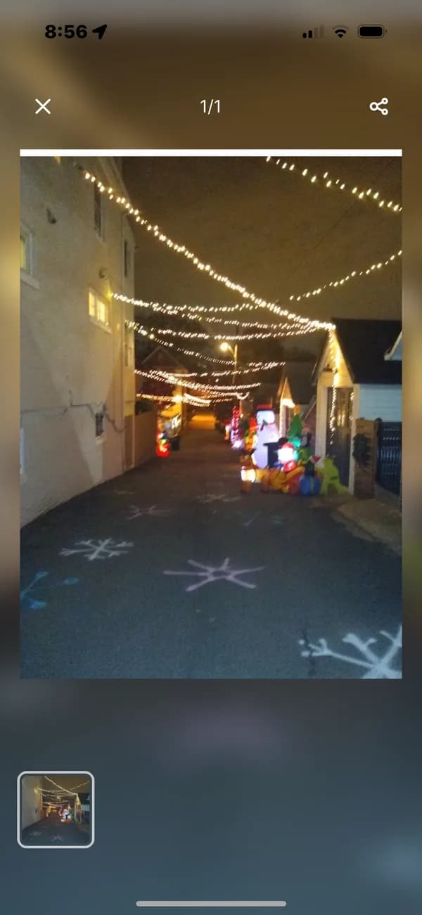 Christmas light installation in Palisades, Washington, DC by Light DMV — professional holiday lighting service