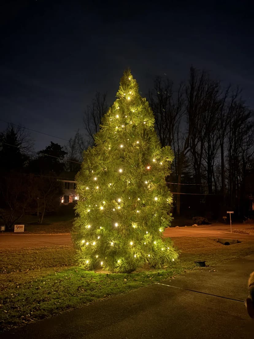 Christmas light installation in Travilah, Maryland by Light DMV — professional holiday lighting service