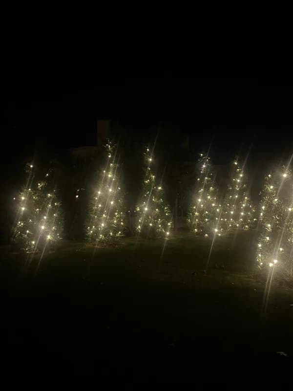 Christmas light installation in Travilah, Maryland by Light DMV — professional holiday lighting service