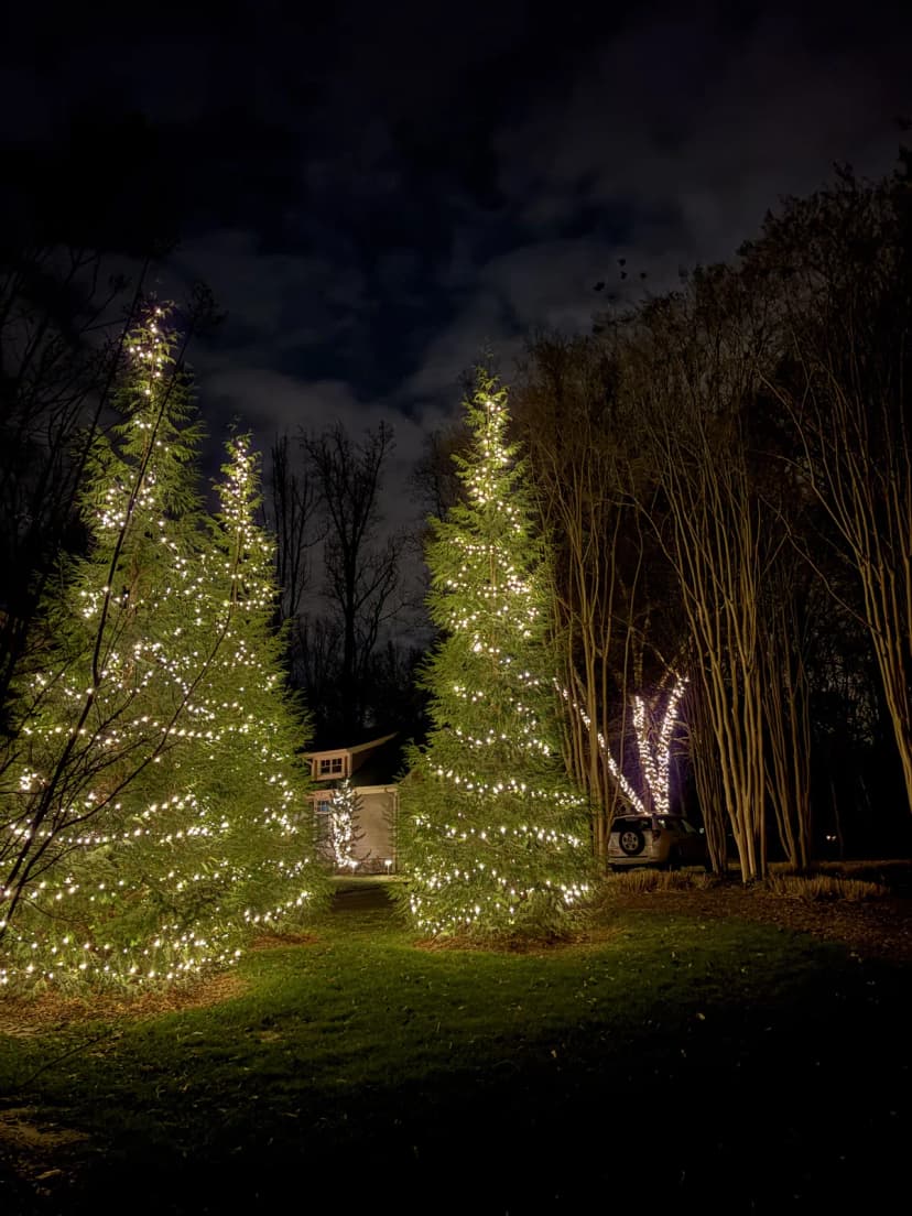 Christmas light installation in Tysons, Virginia by Light DMV — professional holiday lighting service