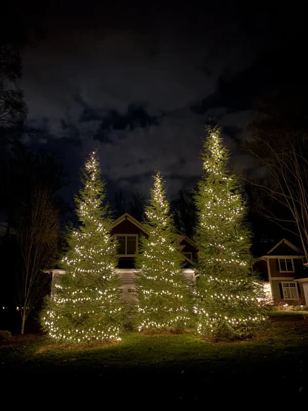 Christmas light installation in Tysons, Virginia by Light DMV — professional holiday lighting service