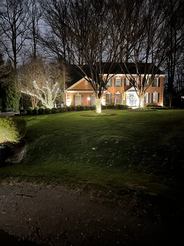 Christmas light installation in Vienna, Virginia by Light DMV — professional holiday lighting service