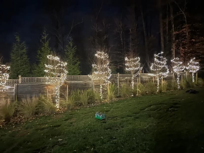 Christmas light installation in the DMV by Light DMV — tree wrap lighting on a backyard tree line