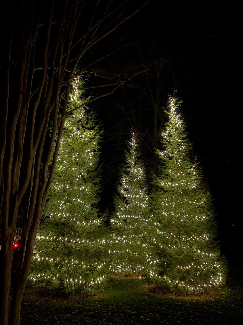 Christmas light installation in Great Falls, Virginia by Light DMV — professional holiday lighting service