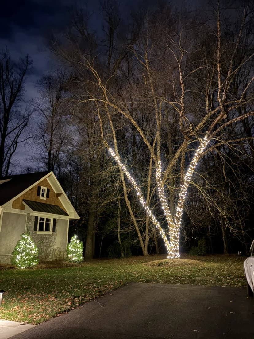 Christmas light installation in Great Falls, Virginia by Light DMV — professional holiday lighting service