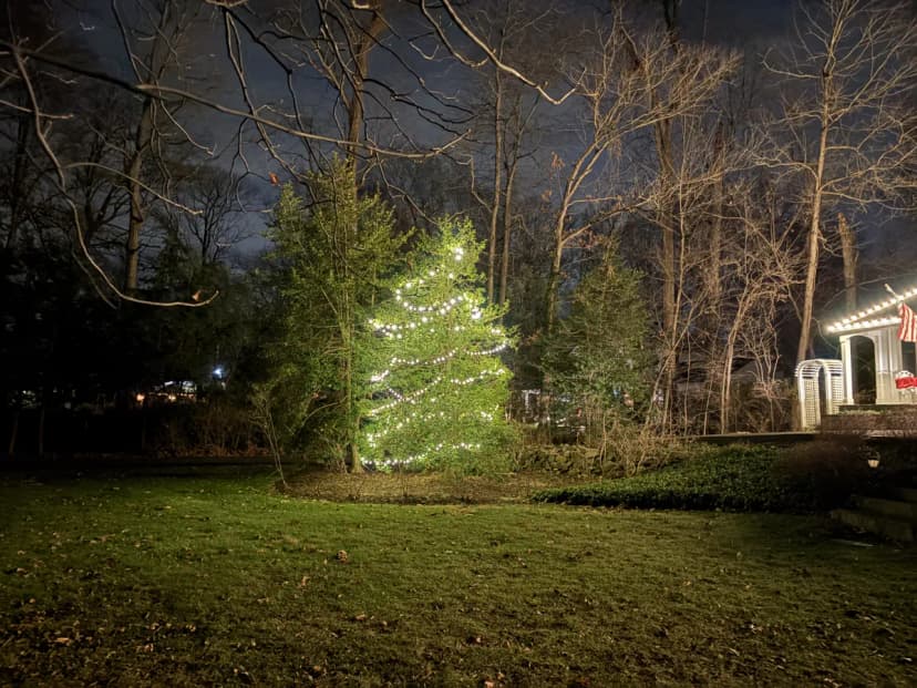 Christmas light installation in Great Falls, Virginia by Light DMV — professional holiday lighting service