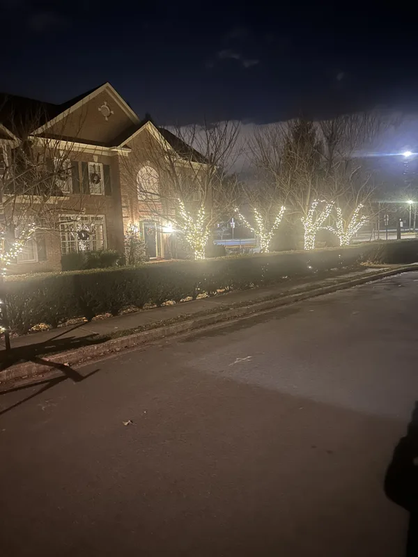 Christmas light installation in Arlington, VA — LightDMV