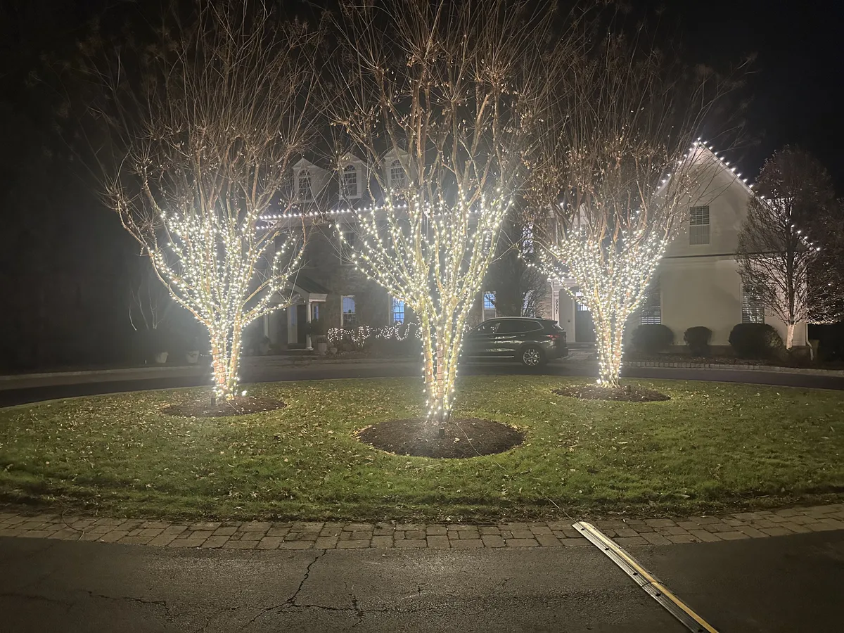 Christmas light installation in Capitol Hill, DC — LightDMV