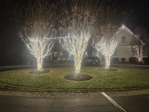 Christmas light installation in Capitol Hill, DC — LightDMV