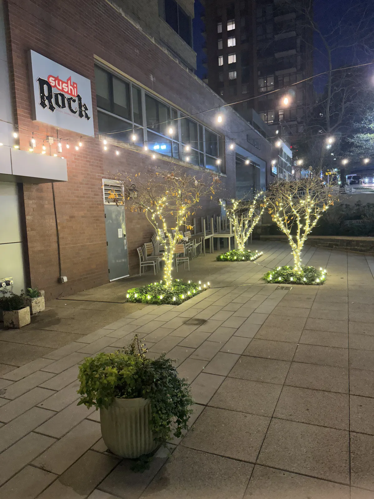 Christmas light installation in Germantown, MD — LightDMV