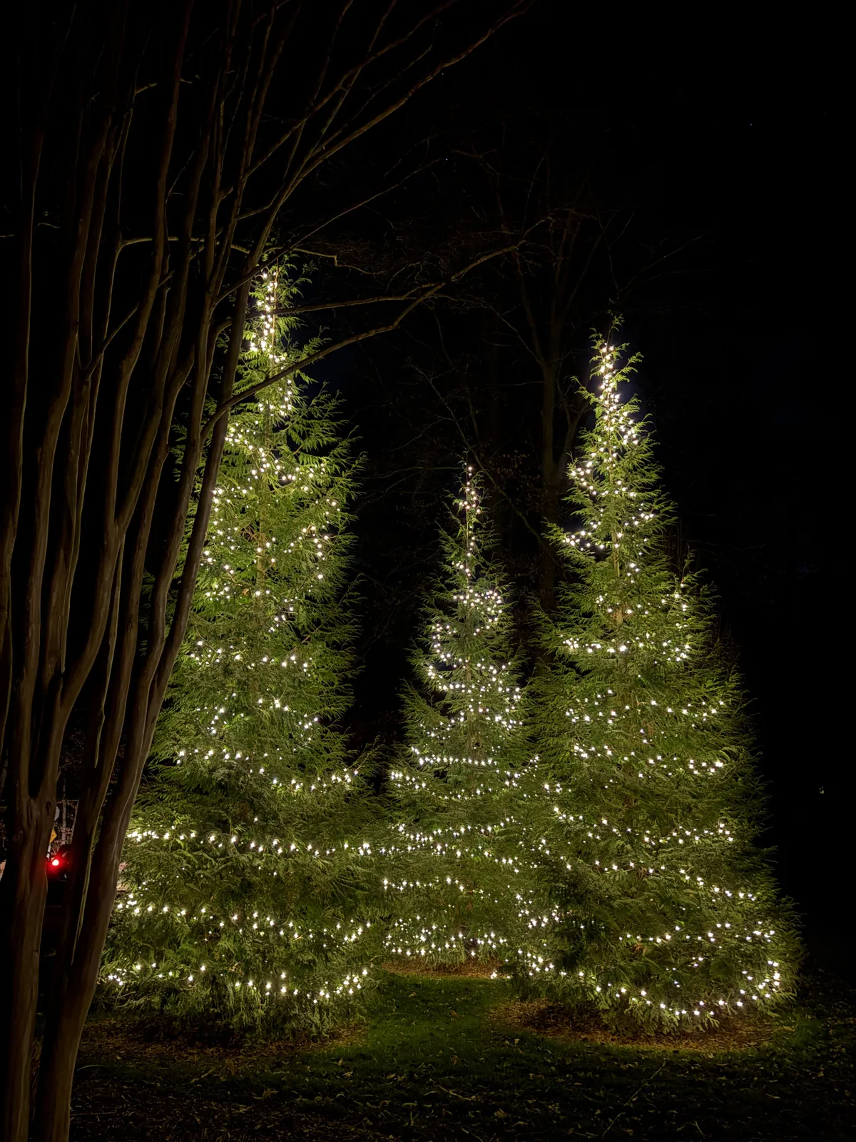 Christmas light installation in Great Falls, VA — LightDMV