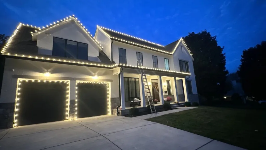 Christmas light installation in the DMV — warm white lights and tree wrap near the driveway