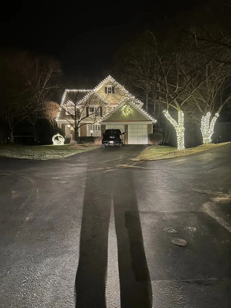 Christmas light installation in the DMV — roofline and tree lighting from the driveway