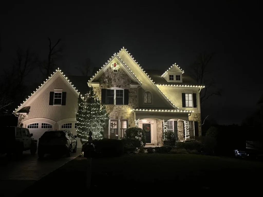 Christmas light installation in the DMV — warm white landscape lighting on a long driveway
